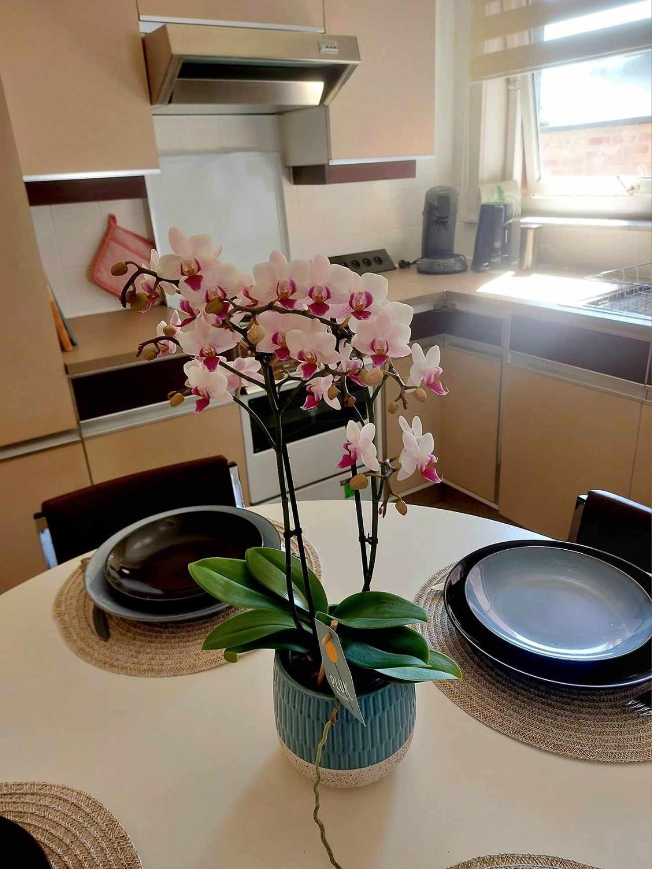 Huys 34, Uw Thuis Weg Van Huis Villa Maldegem Exteriör bild